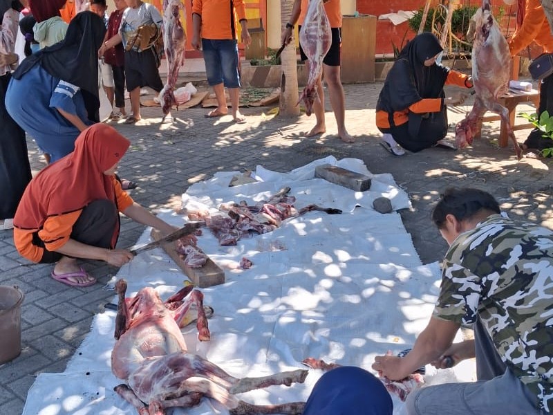 Gelar Penyembelihan dan Pembagian Daging Hewan Qurban